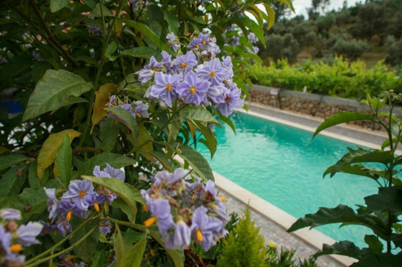 Quinta Ribeiro Tanquinhos Guest House Tancos Exterior foto