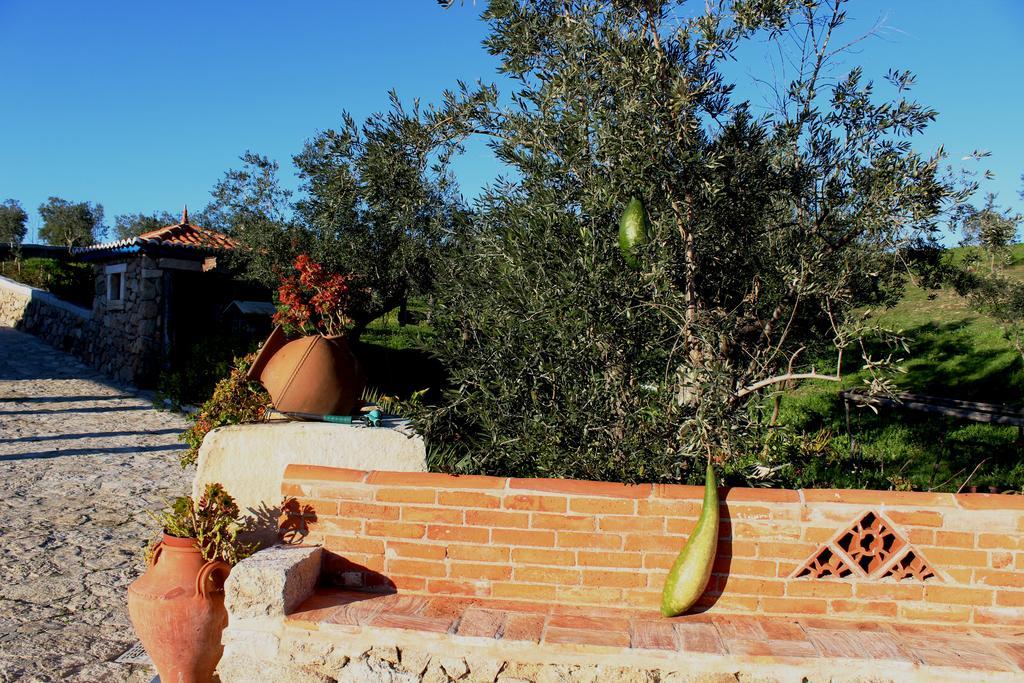 Quinta Ribeiro Tanquinhos Guest House Tancos Exterior foto